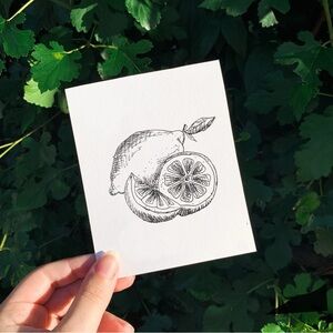 lemon drawing